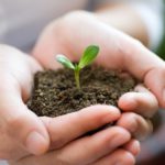 Почему выгодно покупать готовый грунт?