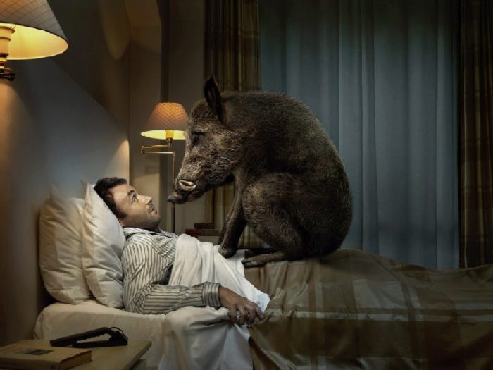 Почему сняться ночные кошмары?