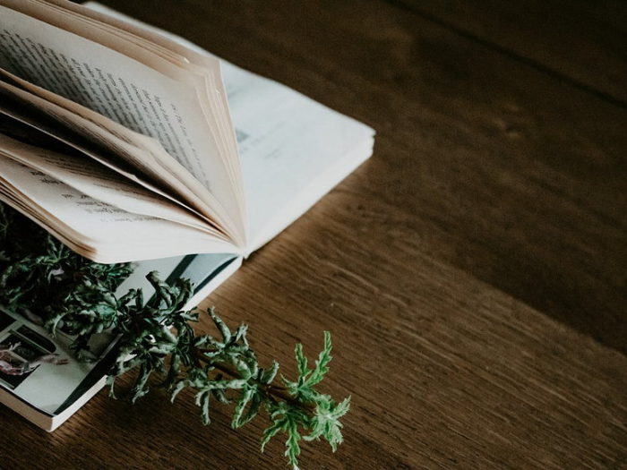 Как бороться с социальной усталостью: 5 советов для интровертов