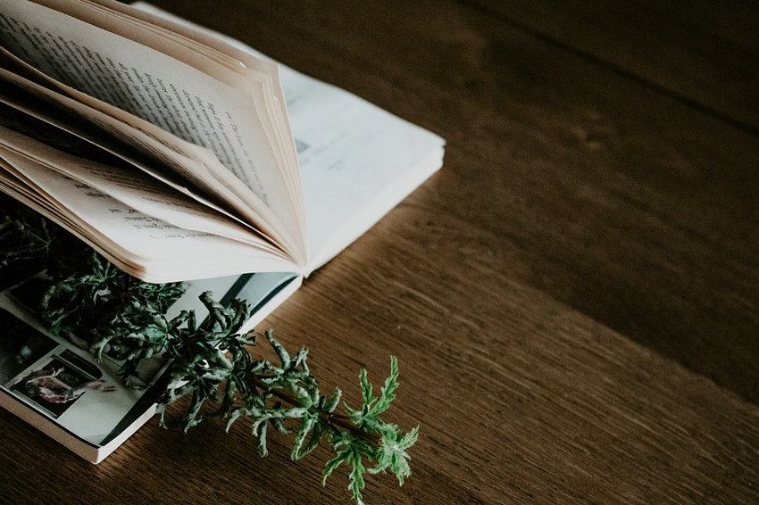 Как бороться с социальной усталостью: 5 советов для интровертов