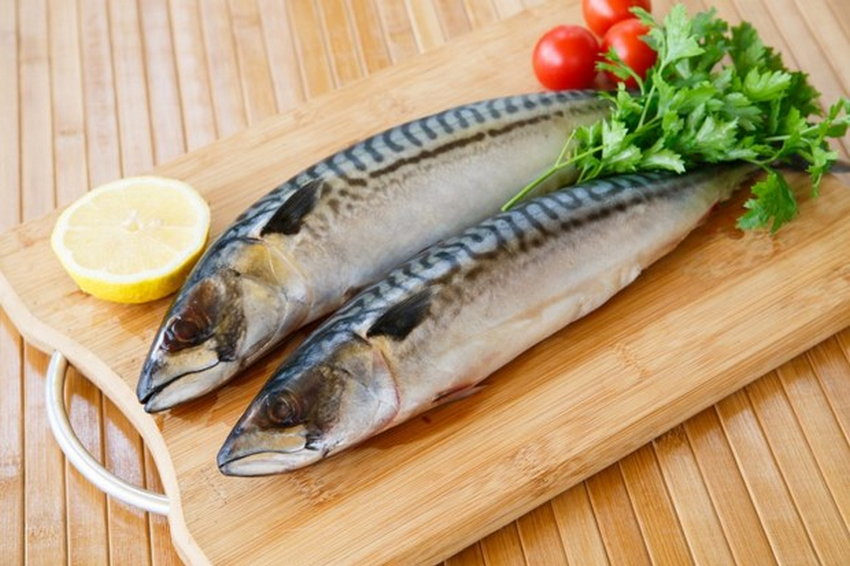 Чем полезна скумбрия
