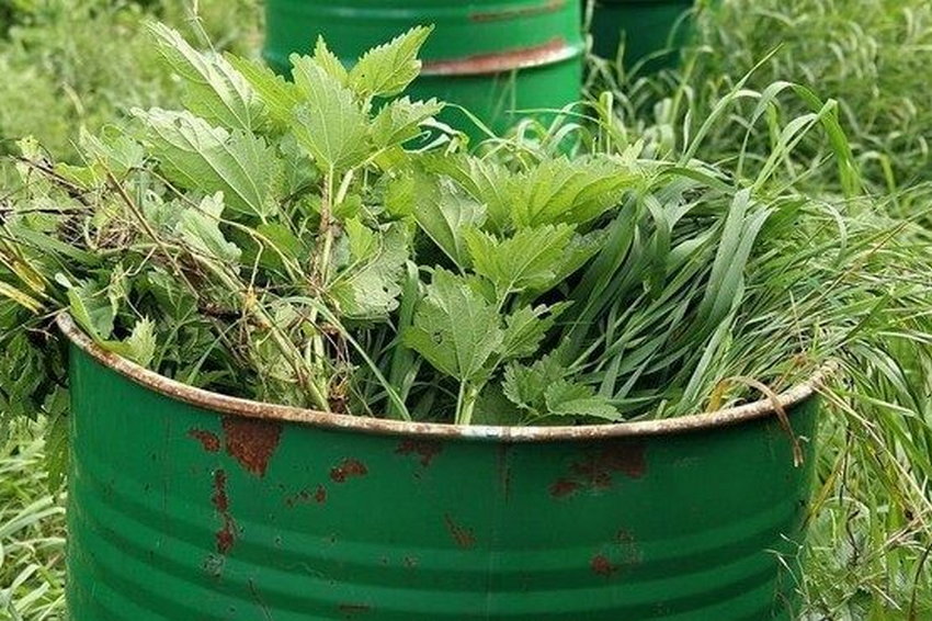 Органическое удобрение из сорняков