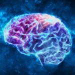 10 простых упражнений для развития возможностей мозга