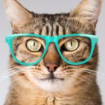 10 неожиданных признаков, которые расскажут о высоком интеллекте!