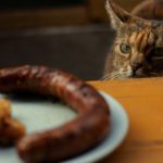 5 техник, которые помогут прокачать силу воли!