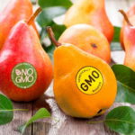 Генномодифицированные продукты