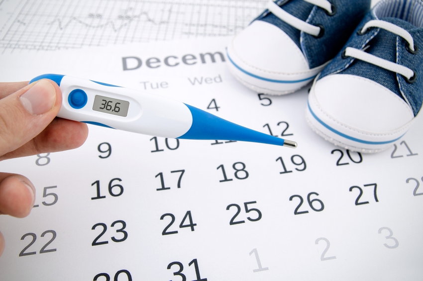 Овуляция: 6 способов вычислить день зачатия