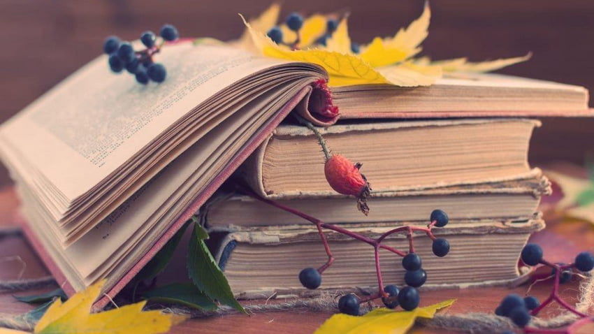 Подборка книг для чтения осенью