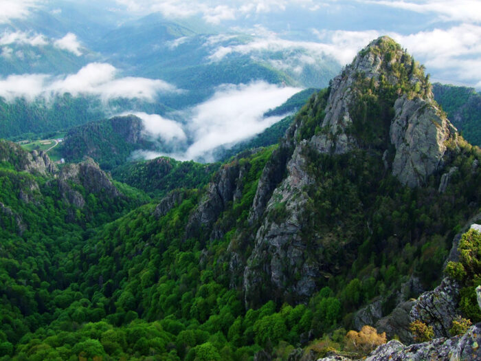 Карпаты