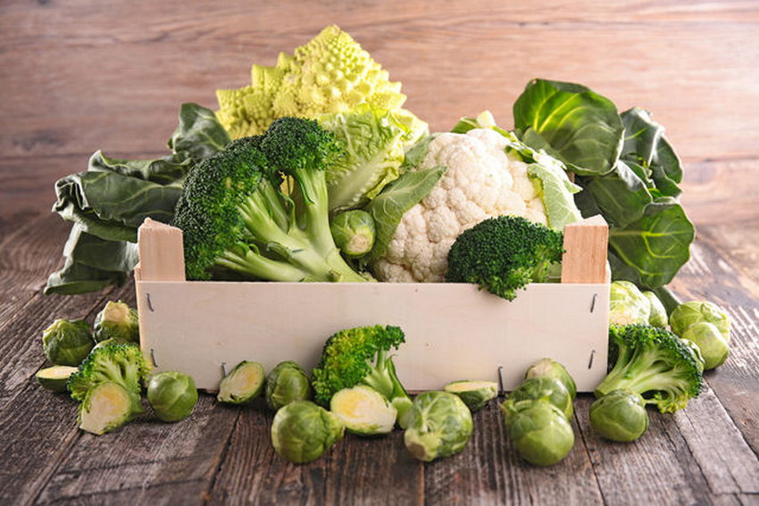 Лучшие продукты против жира
