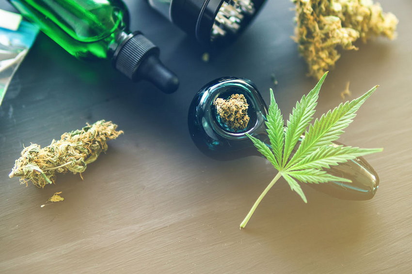 Медичний канабіс вважається перспективною галуззю для розвитку