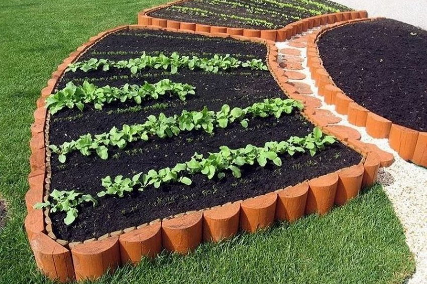 Как превратить грядки в произведение искусства