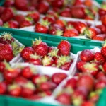 Как выбрать клубнику на рынке: «без химии», вкусную, сладкую и сочную